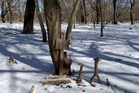 Из одесского парка убрали кладбище домашних животных (фото) 