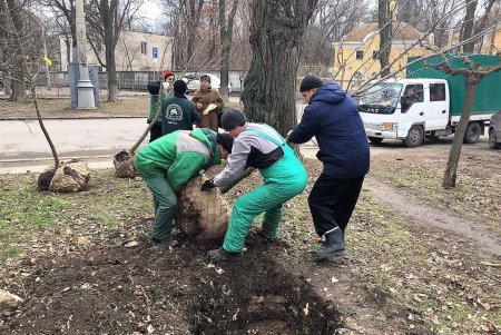 Озеленители подготовили город к весне (фото)