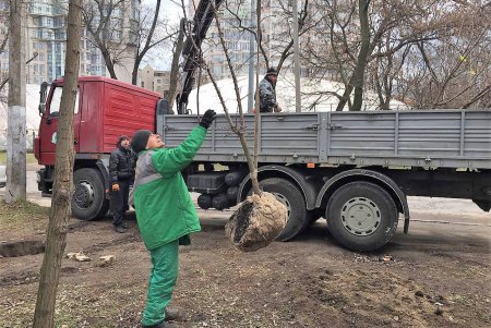 Озеленители подготовили город к весне (фото)