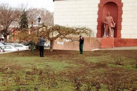 Озеленители подготовили город к весне (фото)
