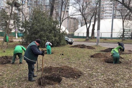Озеленители подготовили город к весне (фото)