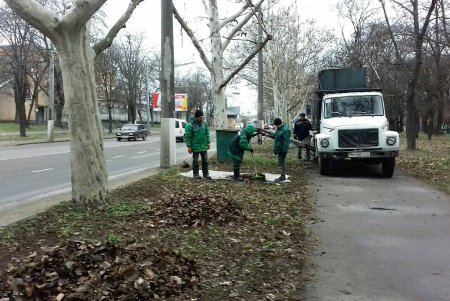 Озеленители подготовили город к весне (фото)