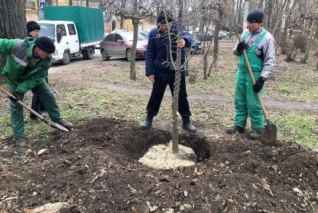 Озеленители подготовили город к весне (фото)