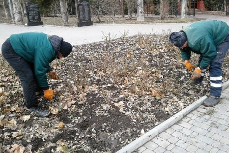 Озеленители подготовили город к весне (фото)