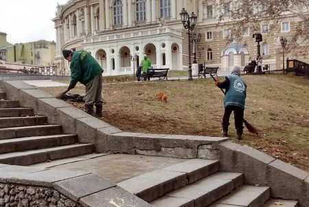 Озеленители подготовили город к весне (фото)