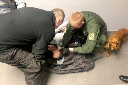 В Одесском аэропорту служебная собака обнаружила наркотики (фото)