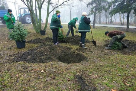 За два месяца в Одессе высадили 118 молодых деревьев (фото)