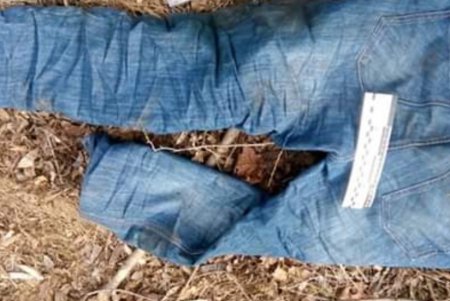 В Одесской области найдены изуродованные человеческие останки (фото) 