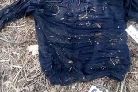В Одесской области найдены изуродованные человеческие останки (фото) 