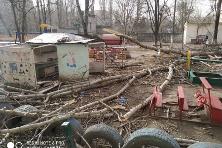 На Таирова на мужчину упало дерево: у пострадавшего переломы обеих ног (фото)