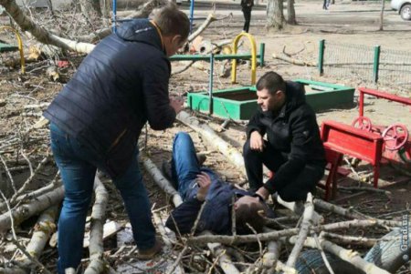 На Таирова на мужчину упало дерево: у пострадавшего переломы обеих ног (фото)