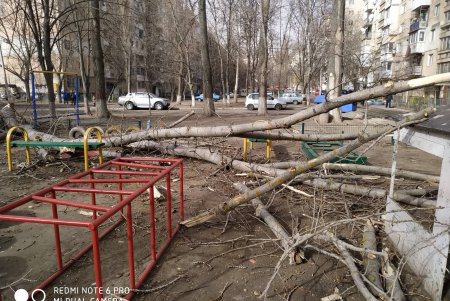 На Таирова на мужчину упало дерево: у пострадавшего переломы обеих ног (фото)