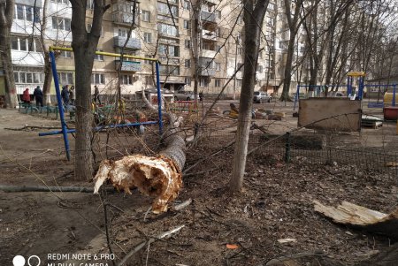 На Таирова на мужчину упало дерево: у пострадавшего переломы обеих ног (фото)
