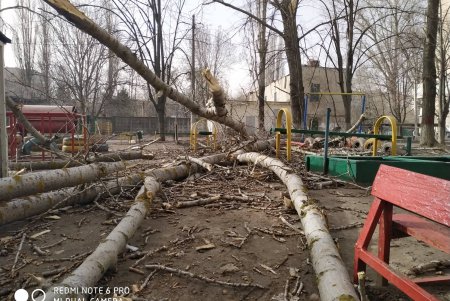 На Таирова на мужчину упало дерево: у пострадавшего переломы обеих ног (фото)