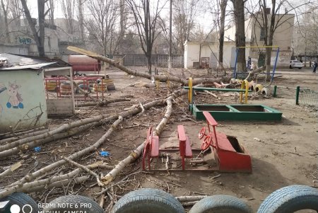 На Таирова на мужчину упало дерево: у пострадавшего переломы обеих ног (фото)