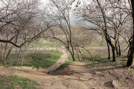 Как сегодня выглядит улица Веры Инбер (фоторепортаж)