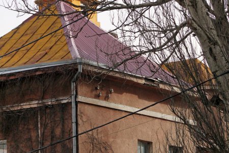 Как сегодня выглядит улица Веры Инбер (фоторепортаж)