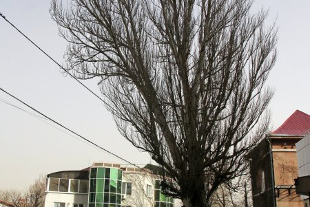 Как сегодня выглядит улица Веры Инбер (фоторепортаж)