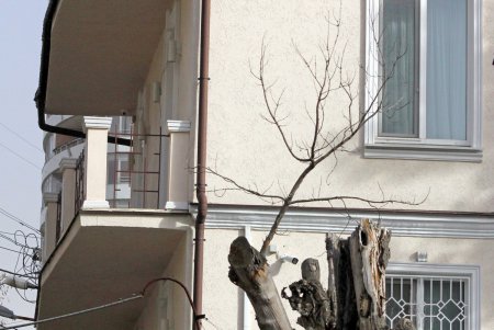 Как сегодня выглядит улица Веры Инбер (фоторепортаж)
