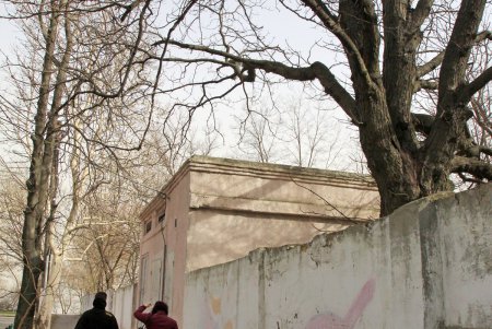 Как сегодня выглядит улица Веры Инбер (фоторепортаж)