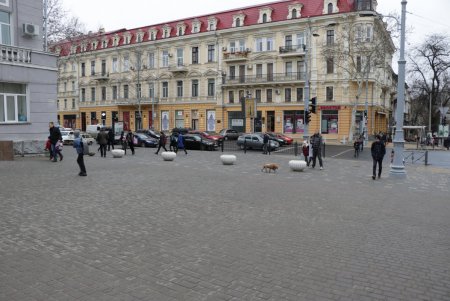 Одесские патрульные штрафовали родителей школьников за неправильную парковку (фото)