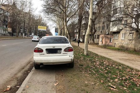 Автохам оставил авто на засеянном газоне и теперь заплатит штраф