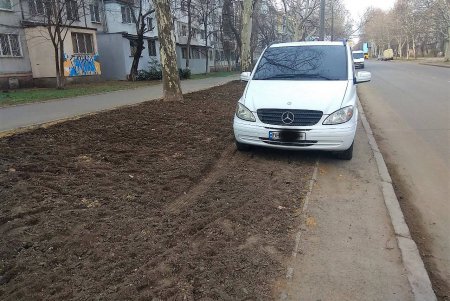 Автохам оставил авто на засеянном газоне и теперь заплатит штраф