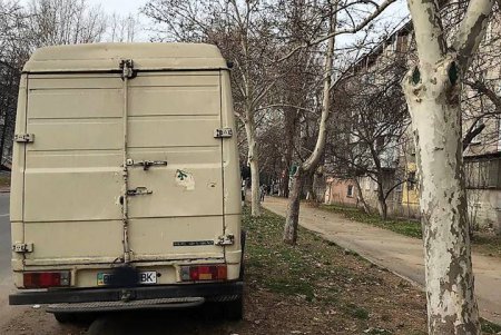 Автохам оставил авто на засеянном газоне и теперь заплатит штраф