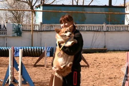 В Одессе состоялся областной чемпионат по аджилити