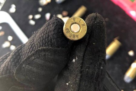 Пограничники со служебной собакой обнаружили патроны к «Винчестеру» (фото, видео) 