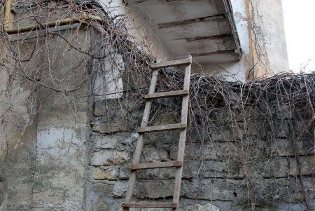Улица Софиевская готовится к капремонту (фоторепортаж)