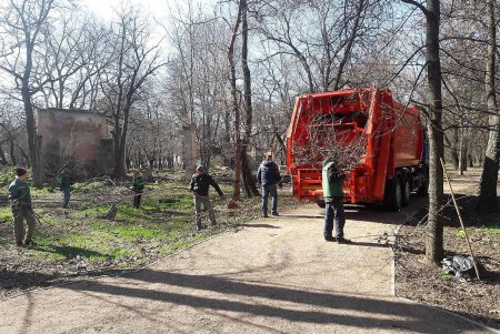На Французском бульваре высадили четверть сотни ясеней (фото)
