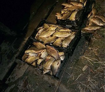 Полтысячи рыбин выловил браконьер в Одесской области (фото)