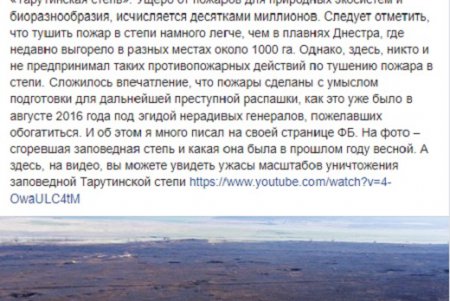 Масштабный пожар уничтожил тысячи гектаров заповедной степи (фото, видео)