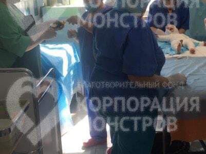За несколько дней в Одессе собрали более миллиона гривен на лечение ребенка, получившего ожоги