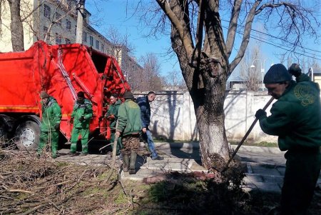 Озеленители выполняют весенние работы на одесских клумбах и зеленых зонах (фото)