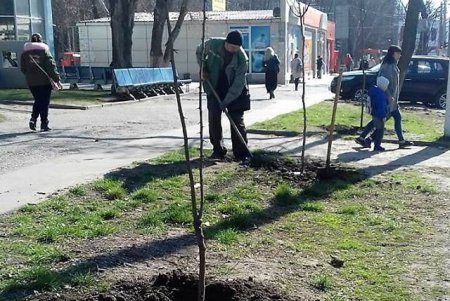 Озеленители выполняют весенние работы на одесских клумбах и зеленых зонах (фото)