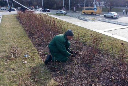 Озеленители выполняют весенние работы на одесских клумбах и зеленых зонах (фото)