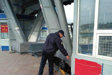 Лжеминеру автовокзала грозит до трех лет тюрьмы (фото, видео)
