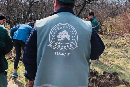 Еще одну аллею сирени высадили в одесском парке (фото)