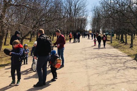 Еще одну аллею сирени высадили в одесском парке (фото)