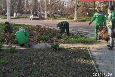 На городских клумбах высадили весенние цветы (фото)