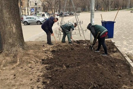 На городских клумбах высадили весенние цветы (фото)