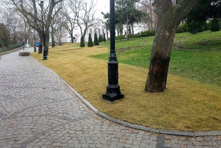 В Стамбульском парке появится 1200 квадратных метров нового газона (фото)