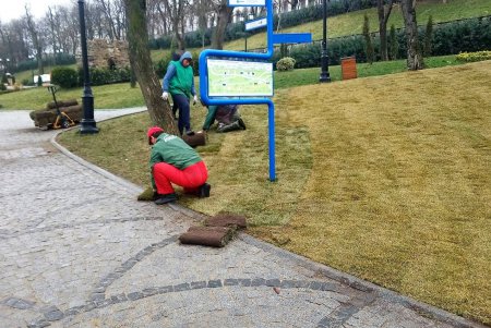 В Стамбульском парке появится 1200 квадратных метров нового газона (фото)