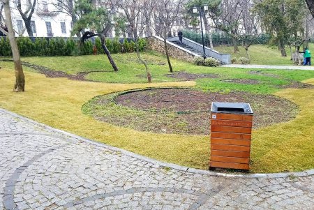 В Стамбульском парке появится 1200 квадратных метров нового газона (фото)
