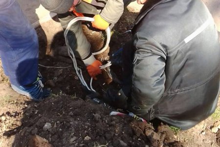 Коммунальщики работают над качеством наружного освещения в Одессе (фото)