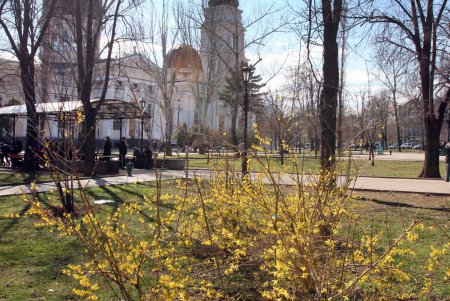 Цветущая Одесса (фоторепортаж)