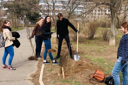 Третью аллею сирени высадили в одесском парке (фото)