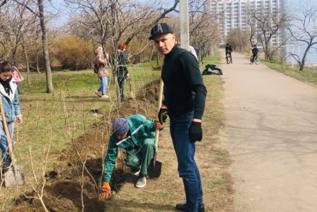 Третью аллею сирени высадили в одесском парке (фото)